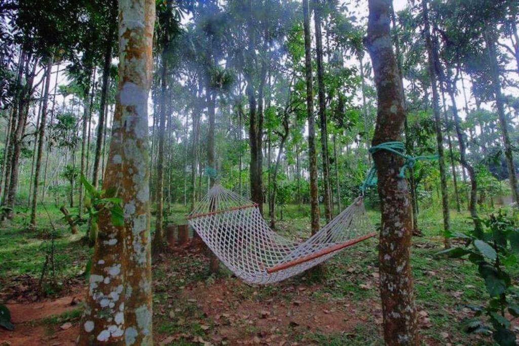 Tall Trees - Modern Forest Villa In Wayanad Sultan Bathery Exterior photo